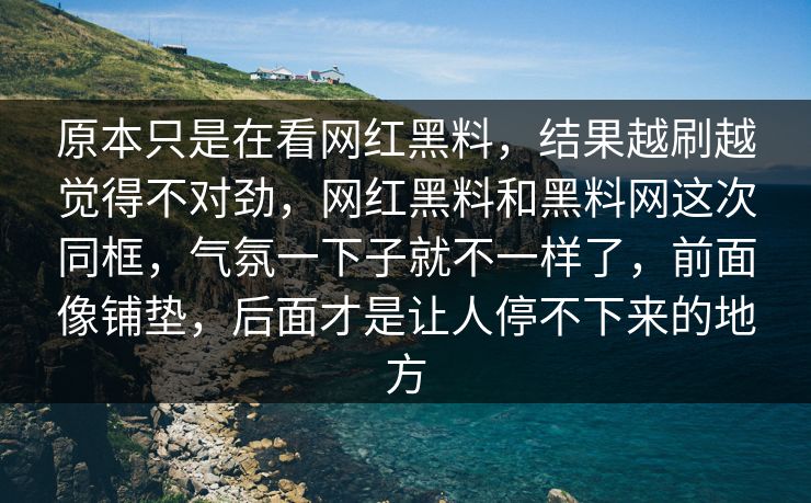 原本只是在看网红黑料，结果越刷越觉得不对劲，网红黑料和黑料网这次同框，气氛一下子就不一样了，前面像铺垫，后面才是让人停不下来的地方