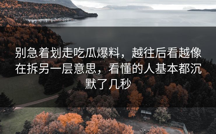 别急着划走吃瓜爆料，越往后看越像在拆另一层意思，看懂的人基本都沉默了几秒