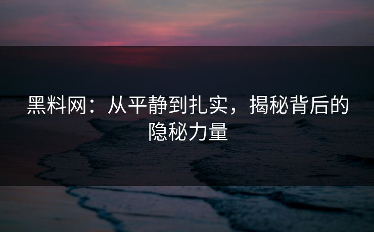 黑料网：从平静到扎实，揭秘背后的隐秘力量