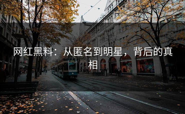 网红黑料：从匿名到明星，背后的真相