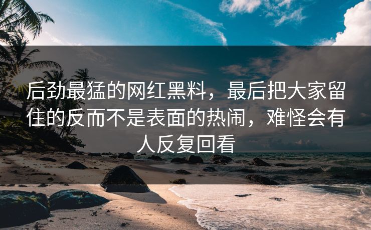 后劲最猛的网红黑料,最后把大家留住的反而不是表面的热闹,难怪会有人反复回看