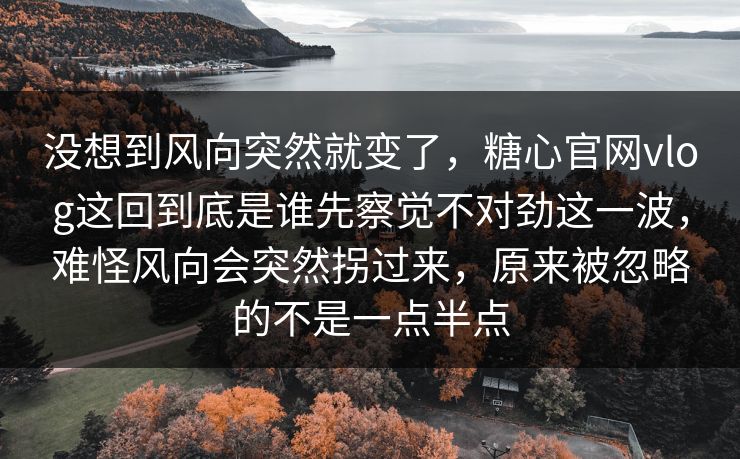 没想到风向突然就变了，糖心官网vlog这回到底是谁先察觉不对劲这一波，难怪风向会突然拐过来，原来被忽略的不是一点半点