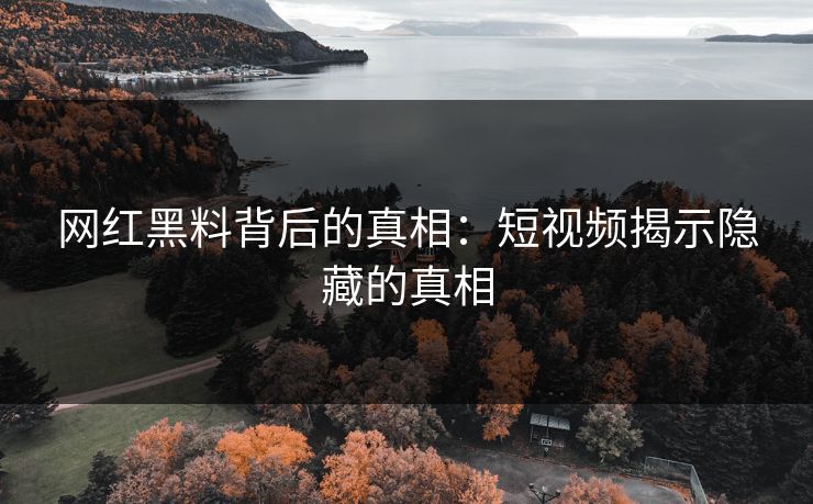 网红黑料背后的真相:短视频揭示隐藏的真相 网红黑料背后的真相:短视频揭示隐藏的真相